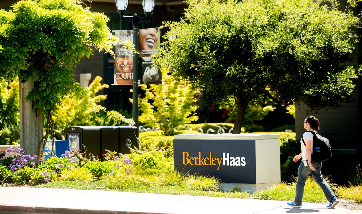 Berkeley MBA requirements