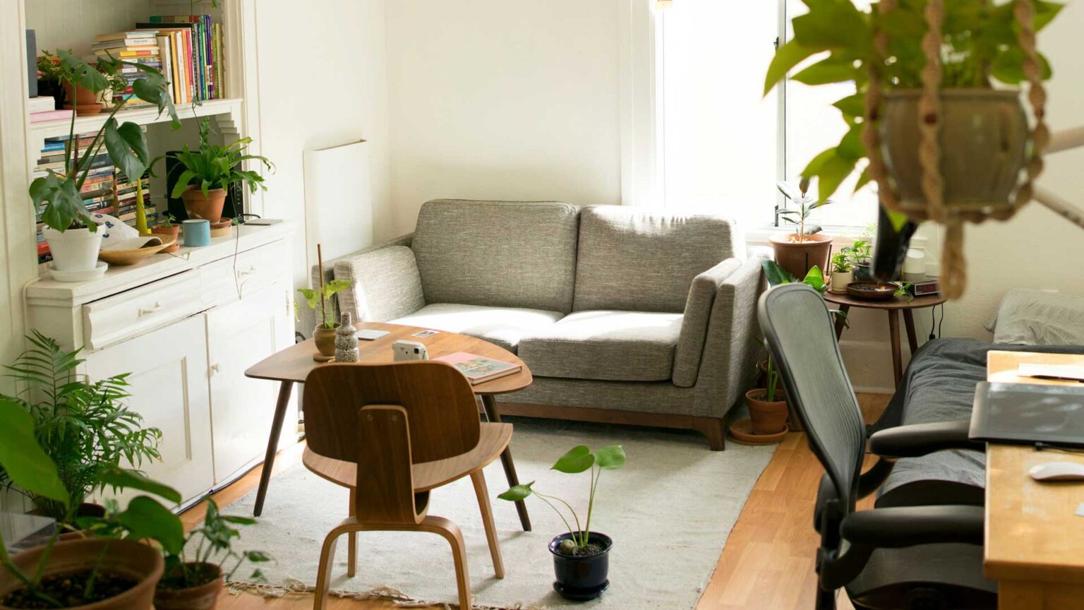 Why The Best Home Diffuser Is A Must-Have For Every Home On ReadCampus