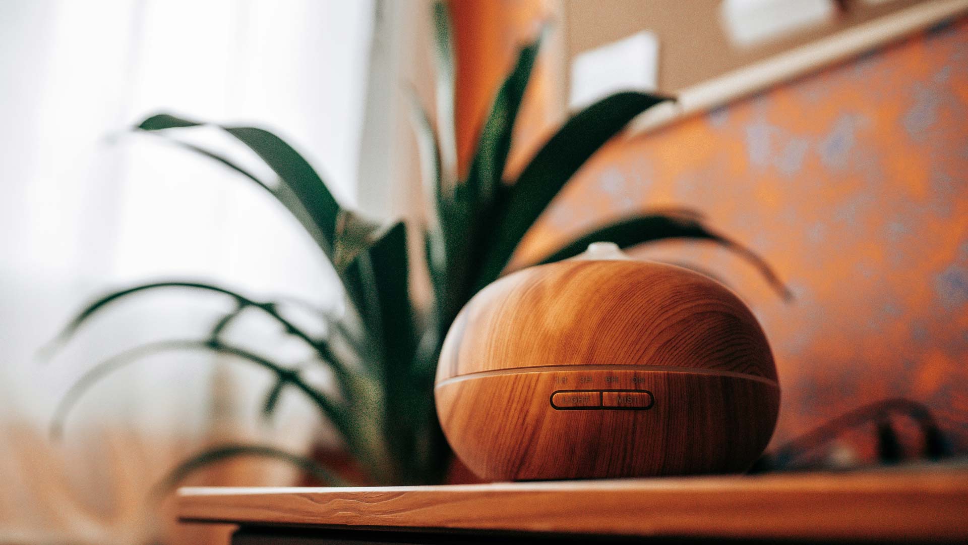 Best Aroma Diffuser for Large Rooms On ReadCampus